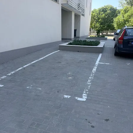 джовани * Varna